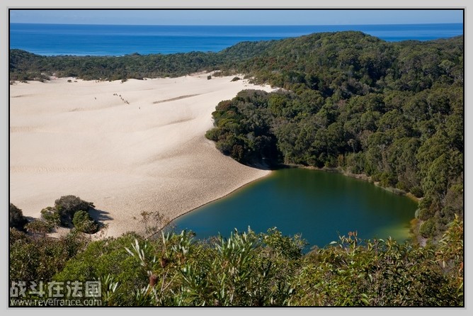 Fraser Island_32.jpg