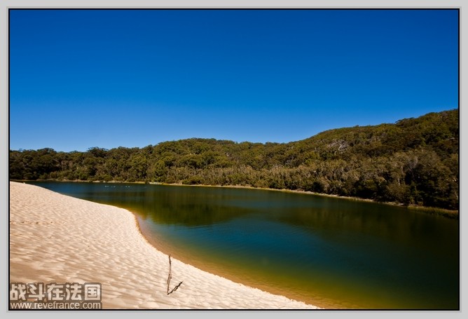 Fraser Island_34.jpg