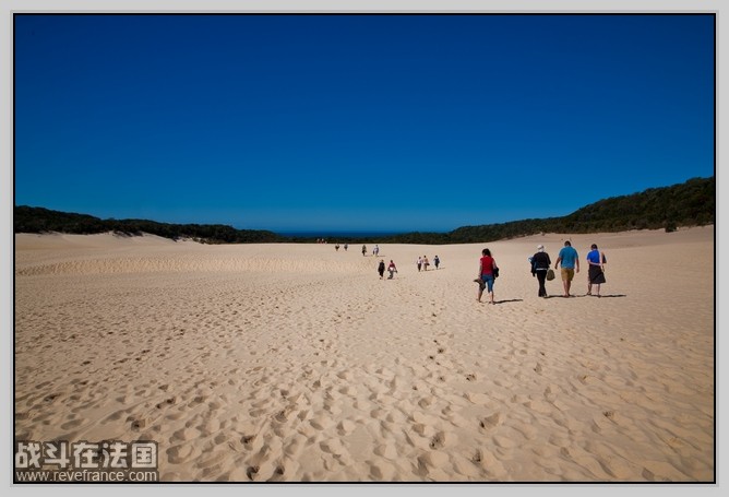 Fraser Island_36.jpg