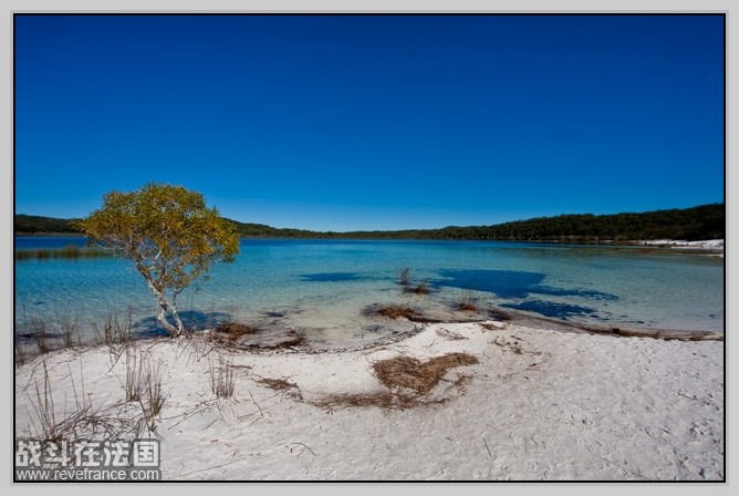 Fraser Island_37.jpg