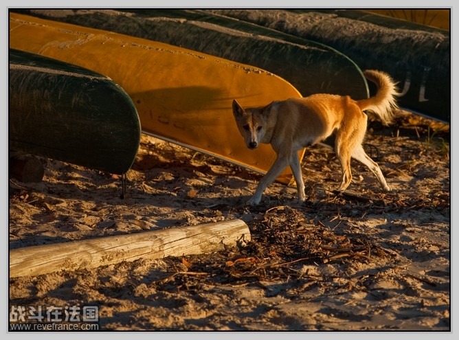 Fraser Island_40.jpg