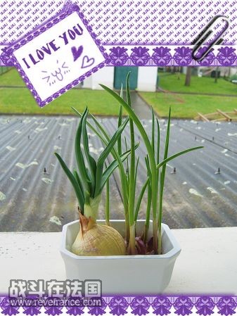 nEO_IMG_SNV89027.jpg