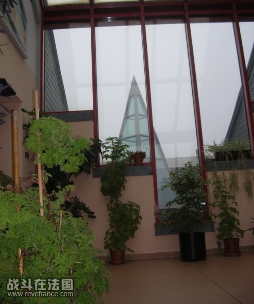 wintergarden1.jpg