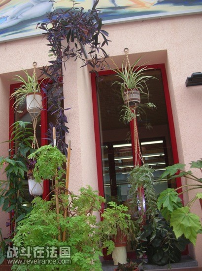 wintergarden5.jpg