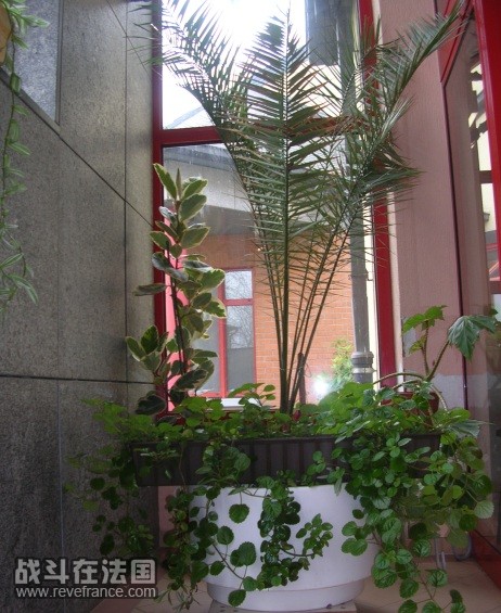 wintergarden7.jpg