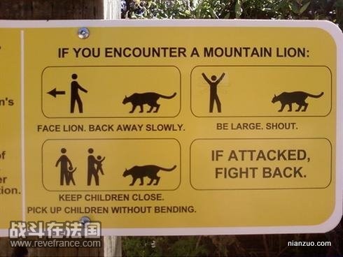 Quirky_Zoo_Sign_16.jpg