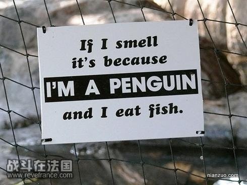 Quirky_Zoo_Sign_27.jpg