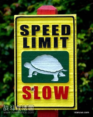 Quirky_Zoo_Sign_12.jpg
