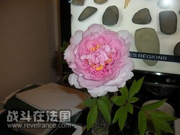 DSCN0851.jpg