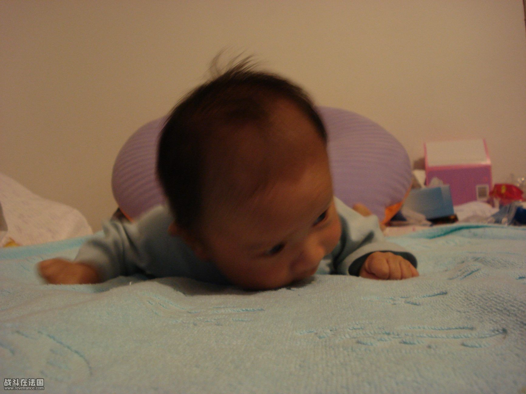 DSC02409.jpg