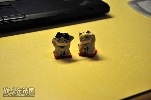 DSC_招财.jpg