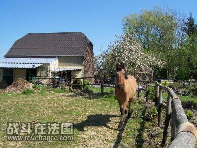 首先出场Ulyse，唯一的嗜好就是吃