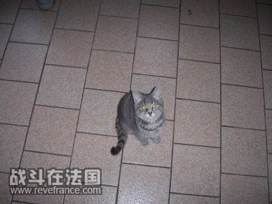 麻麻，我能去花园caca吗？