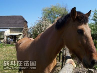你看我脖子漂亮吗？