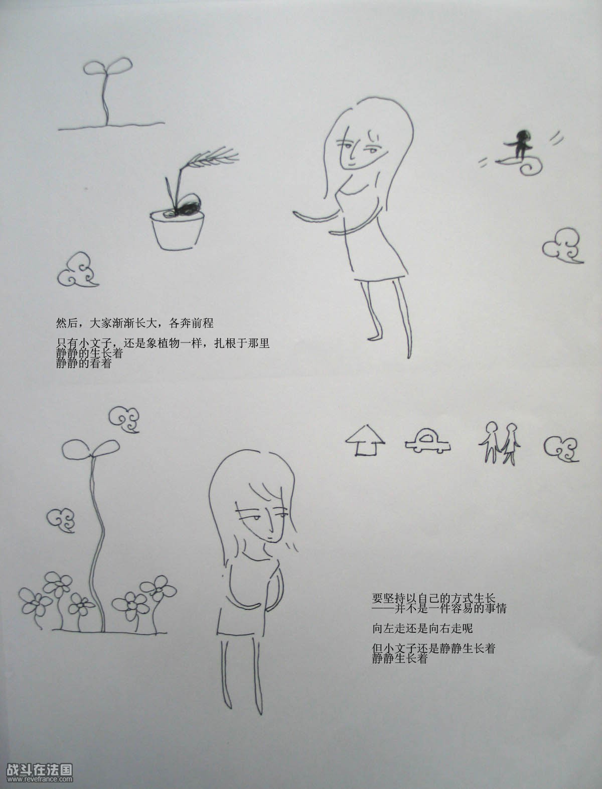 植物小文子2.jpg