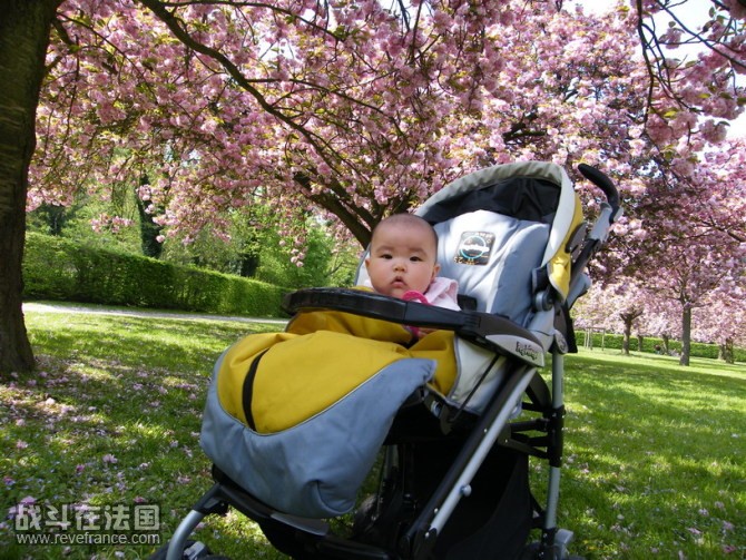 parc de seaux 野餐，唉，你们吃，我只能看着啦