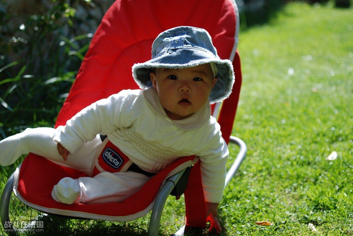 DSC_0141.jpg