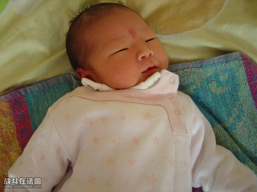 DSC032066.jpg