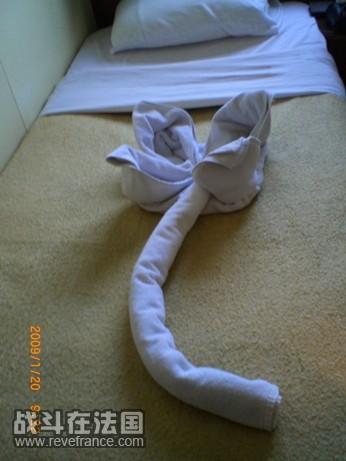 7.JPG