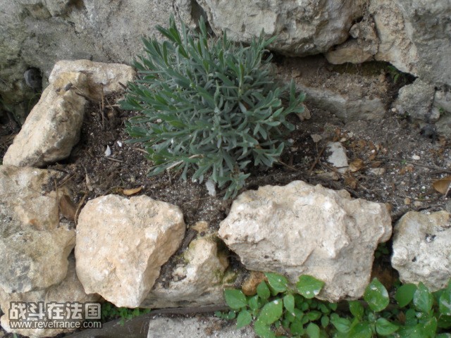 CIMG2345.JPG