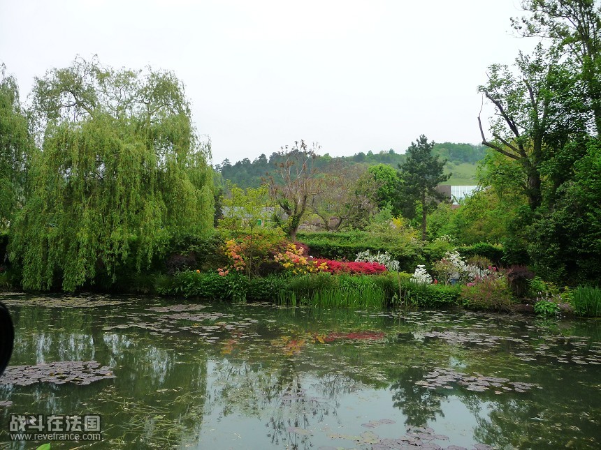 P1070201.JPG