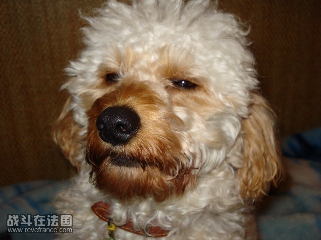 DSC00100.JPG