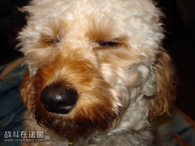 DSC00091.JPG