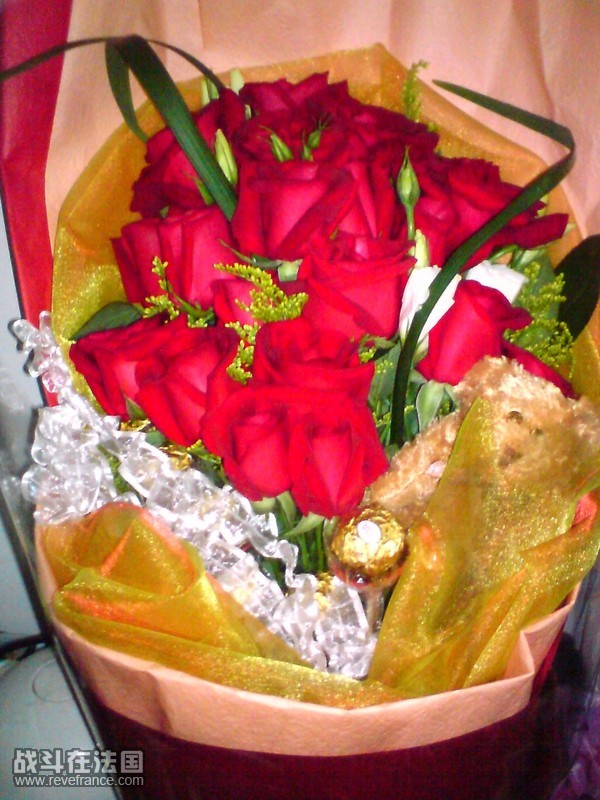 large_3849j67.jpg