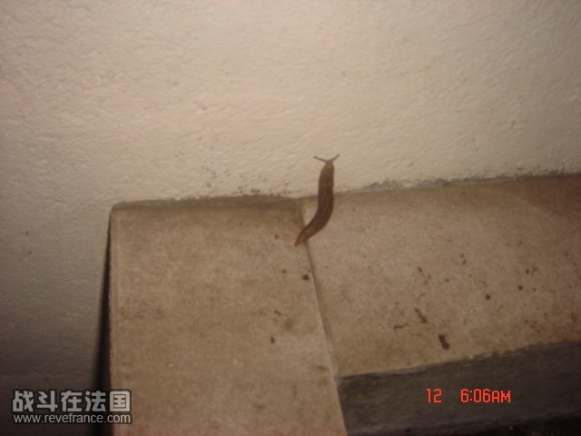DSC05273.JPG