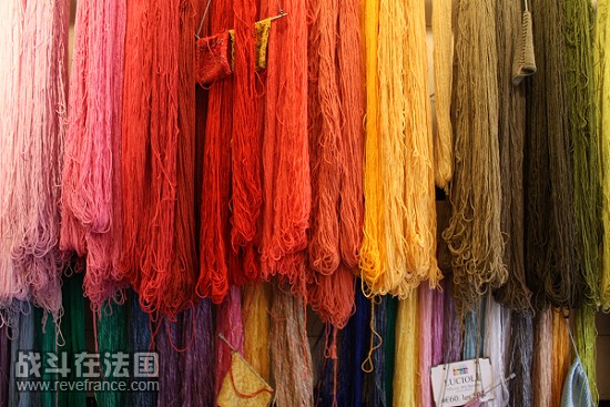 复件 IMG_7996.JPG
