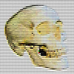 Skull.jpg