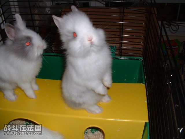 DSCF0065.JPG