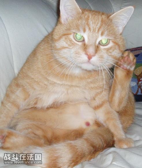 je suis un mec ~~~bo mec ~~~.jpg