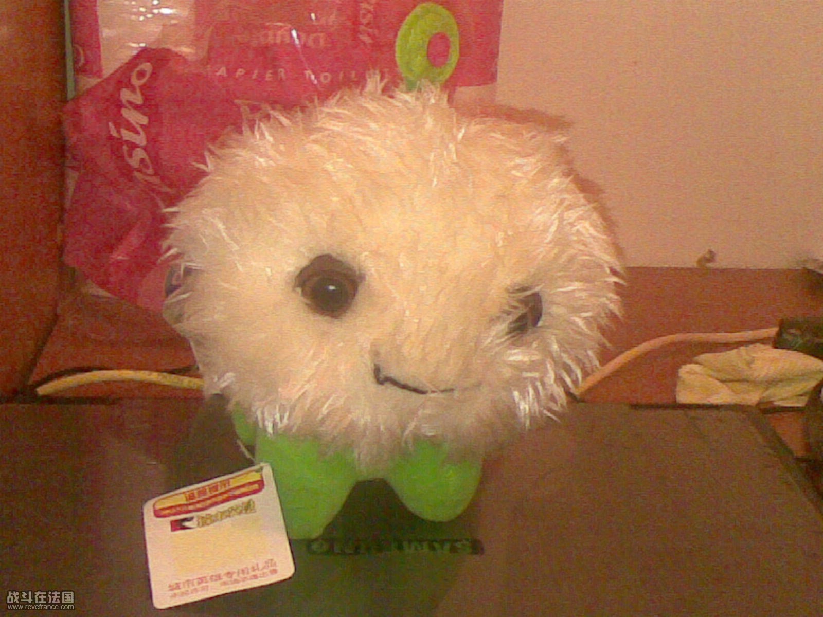 20090521674.jpg