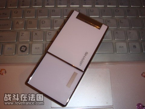 DSC07330.JPG
