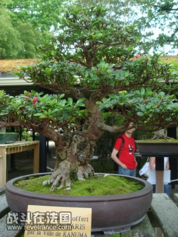 DSC04788 [640x480].JPG