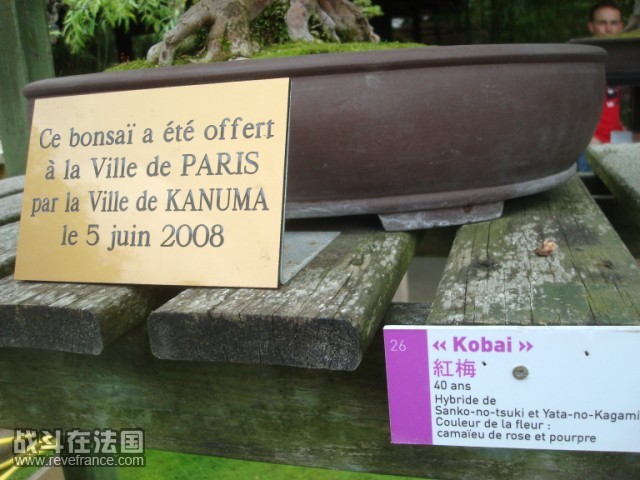 DSC04789 [640x480].JPG