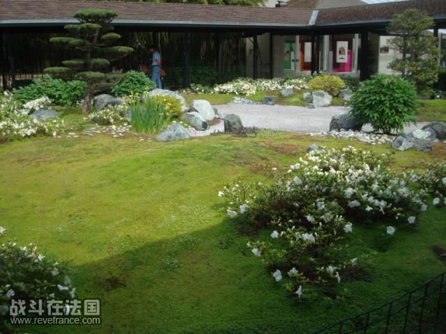 DSC04798 [640x480].JPG
