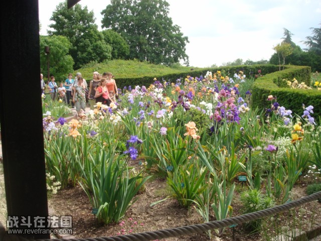 DSC04797 [640x480].JPG