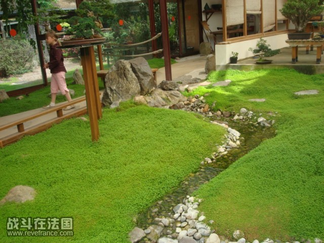 DSC04795 [640x480].JPG