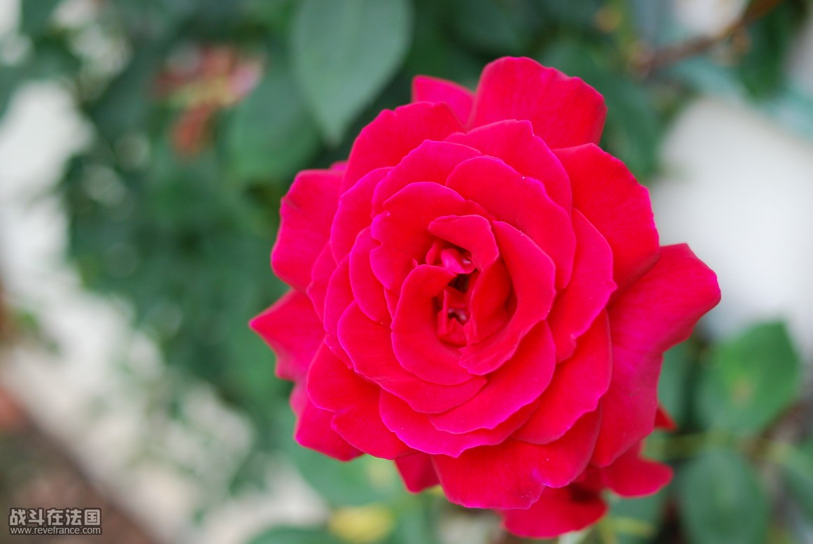 DSC_0853.jpg