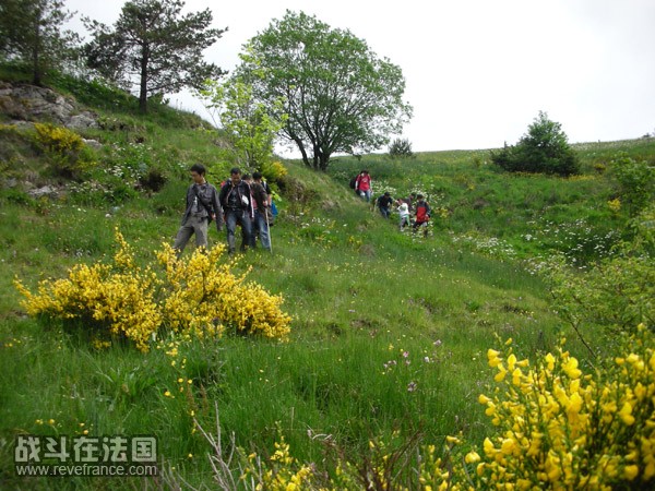 所定目标了 恨不得直线滚下去