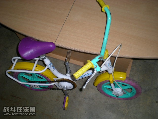 18 008.jpg