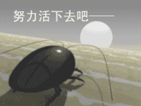 1239632623918.gif