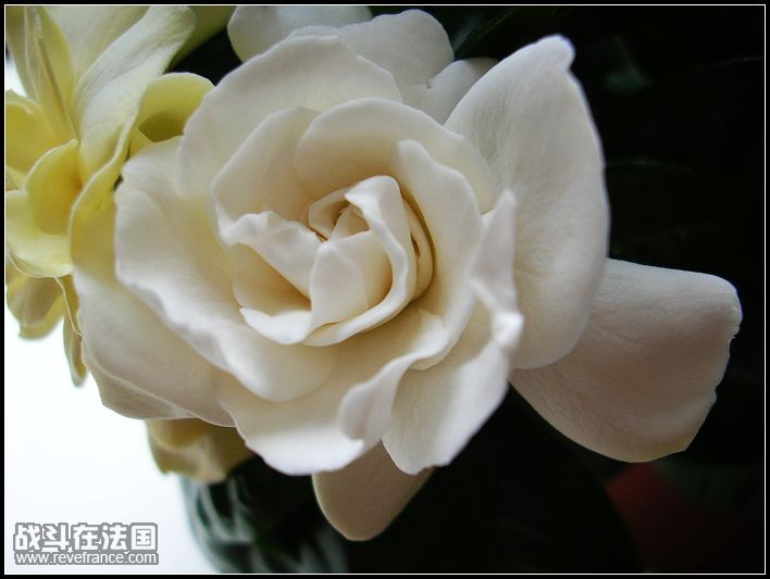 DSCN3581.JPG