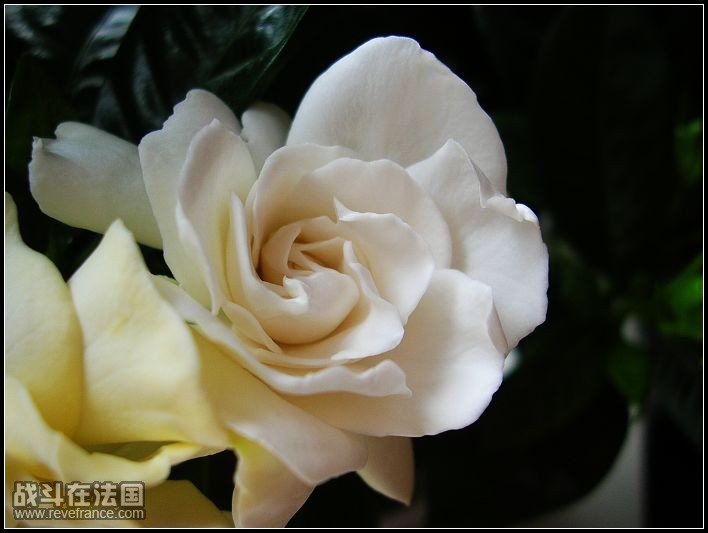 DSCN3576.JPG