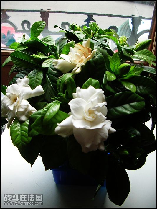 DSCN3572.JPG