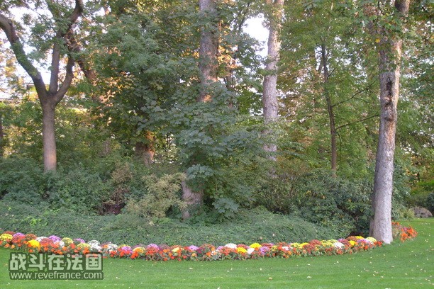 S6300947.JPG