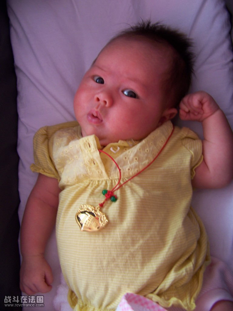 Photo 036 [50%].jpg