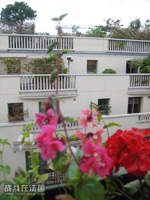 050.JPG